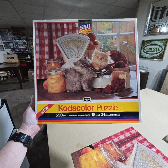 Kodak Other - Nice Easy Kitty Puzzle 550 Pieces